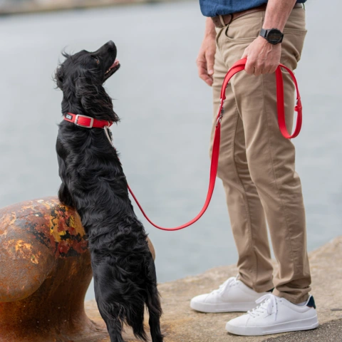 Dog Copenhagen Urban Classic™ Hundehalsbånd